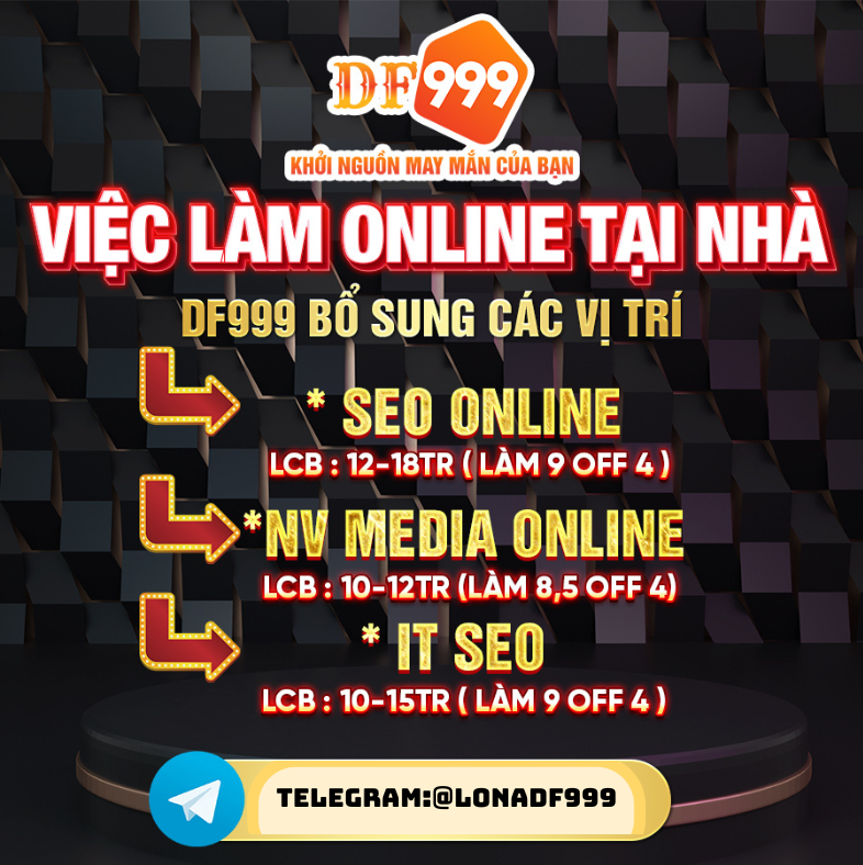 lĩnh vực hoạt động